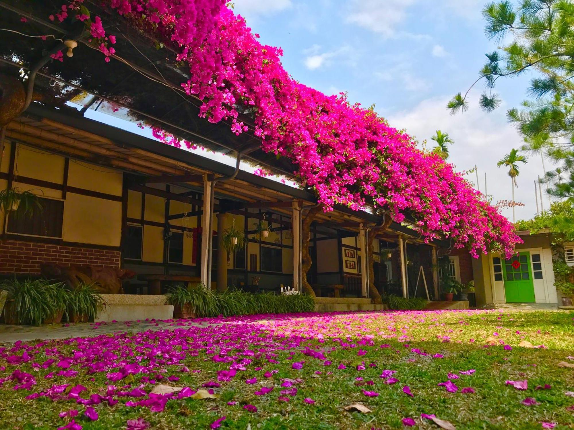 嘉義竹崎白樹腳驛棧萬坪生態包棟烤肉親子民宿 Fujin Exterior photo